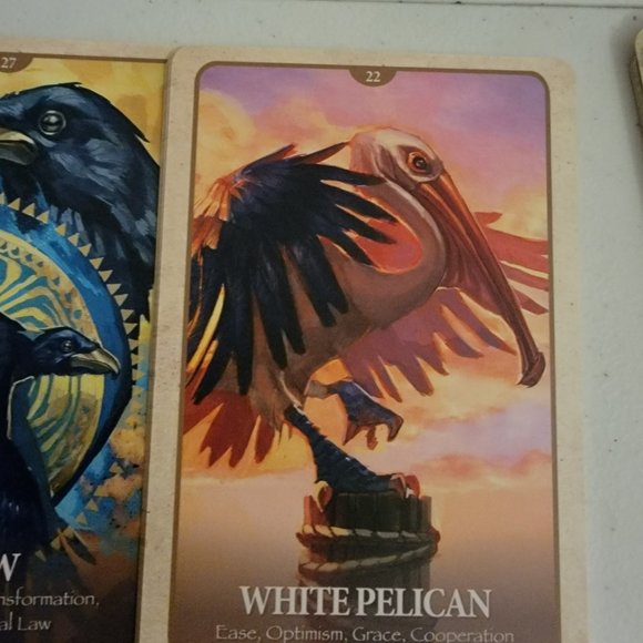 Oracle Cards The Secret Language of Animals - New - Picture 5 of 8